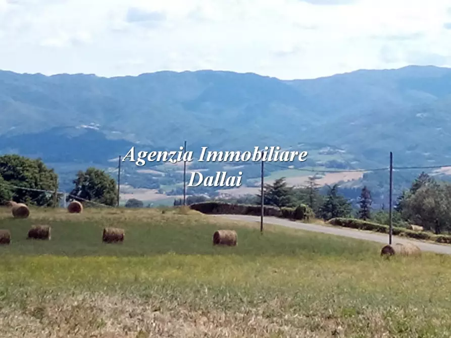 Immagine 19 di Casa indipendente in vendita  a Barberino Di Mugello