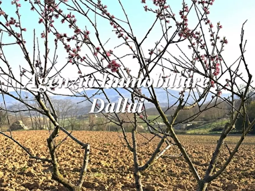 Immagine 17 di Casa colonica in vendita  a Barberino Di Mugello