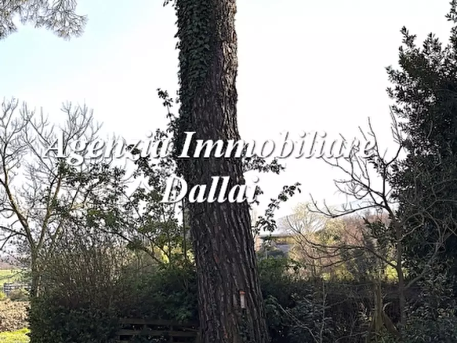 Immagine 3 di Casa colonica in vendita  a Barberino Di Mugello