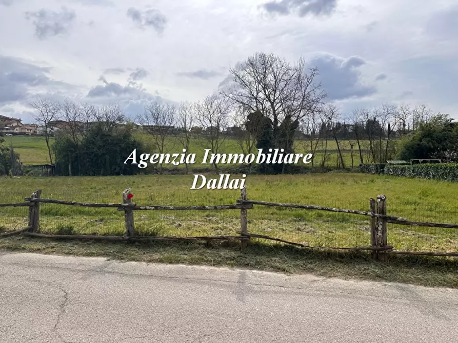 Immagine 5 di Terreno agricolo in vendita  in Via dell'Azzurro a Scarperia E San Piero