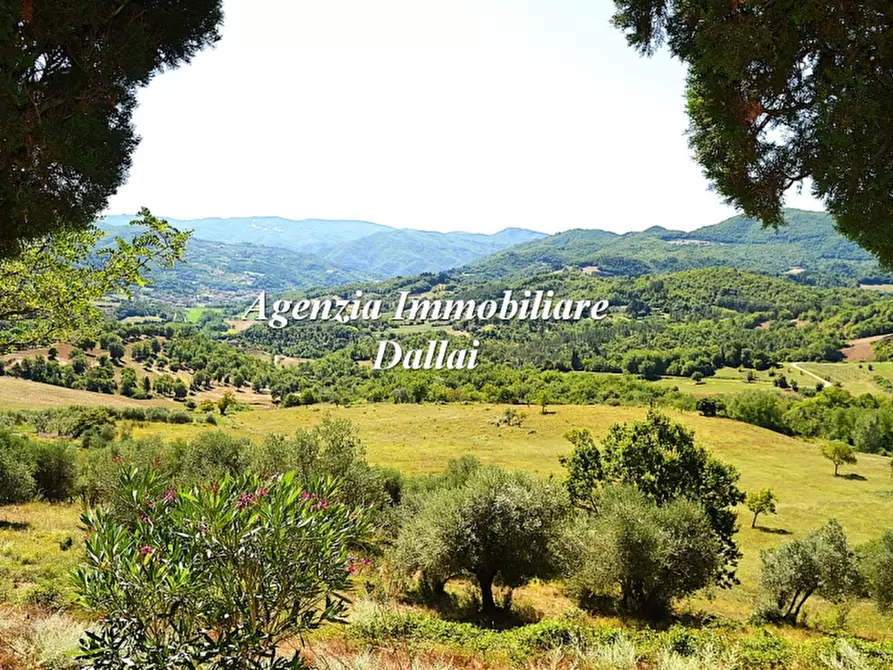 Immagine 1 di Casa colonica in vendita  a Vicchio