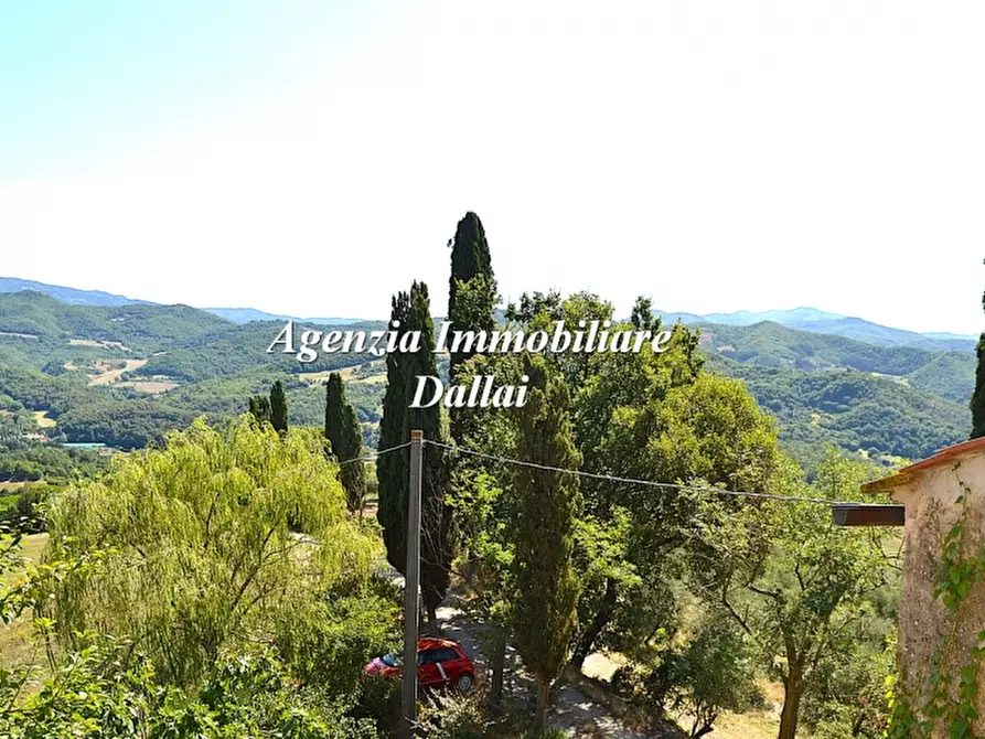 Immagine 13 di Casa colonica in vendita  a Vicchio
