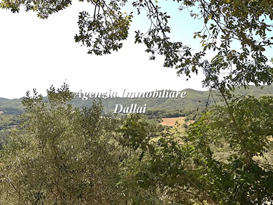Immagine 25 di Casa colonica in vendita  a Vicchio