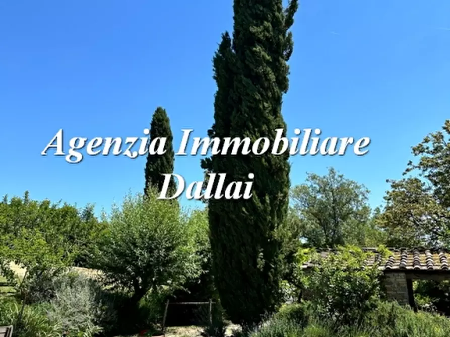Immagine 4 di Casa colonica in vendita  a Scarperia E San Piero