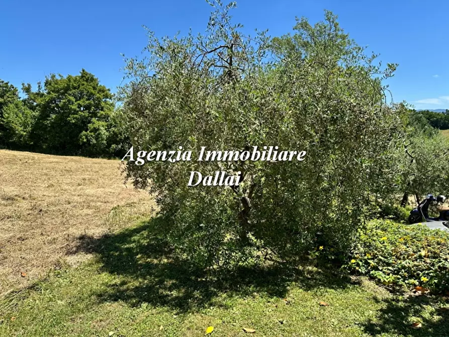 Immagine 39 di Casa colonica in vendita  a Scarperia E San Piero