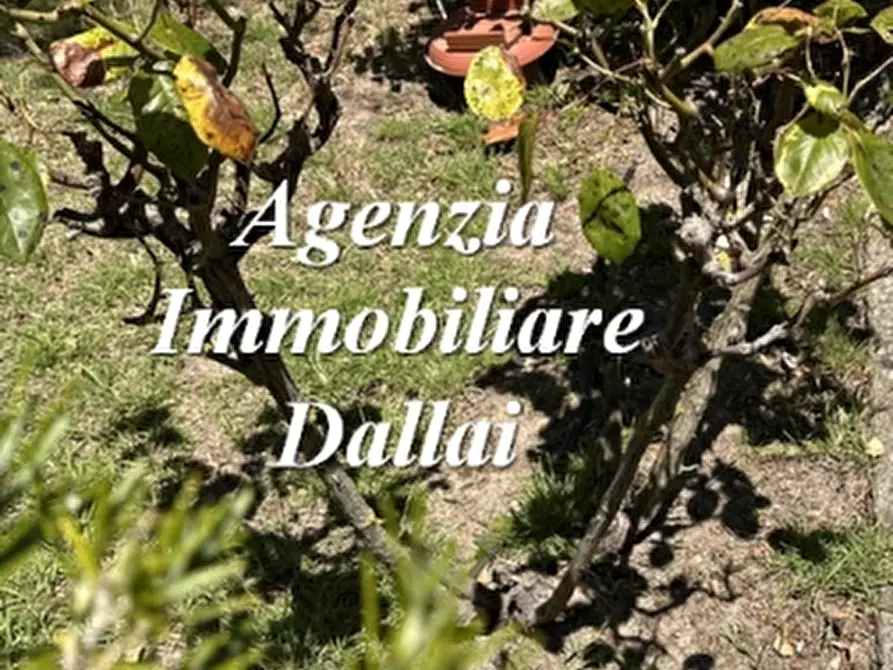 Immagine 2 di Terratetto in vendita  a Scarperia E San Piero