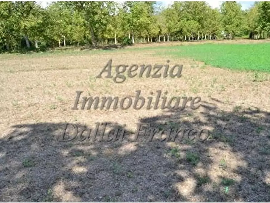 Immagine 1 di Terreno agricolo in vendita  in Via di Rimotoso 1 a Scarperia E San Piero