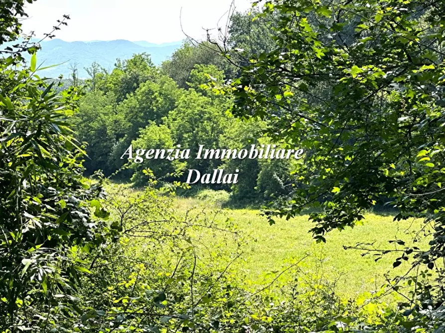Immagine 6 di Rustico / casale in vendita  a Borgo San Lorenzo