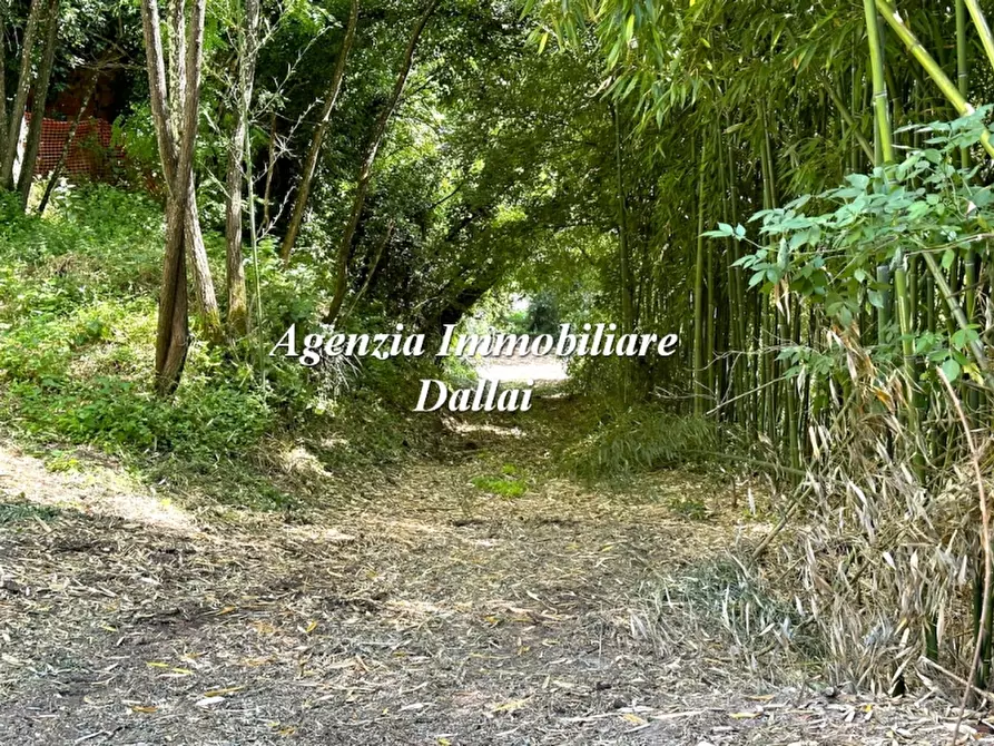 Immagine 3 di Rustico / casale in vendita  a Borgo San Lorenzo