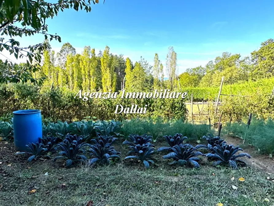 Immagine 5 di Villa in vendita  a Scarperia E San Piero