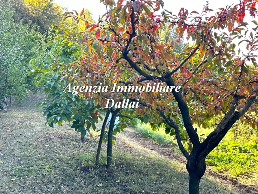 Immagine 2 di Villa in vendita  a Scarperia E San Piero