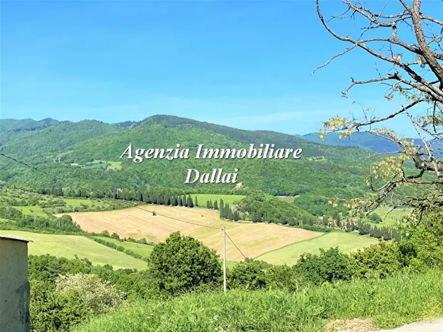 Immagine 3 di Casa colonica in vendita  a Barberino Di Mugello