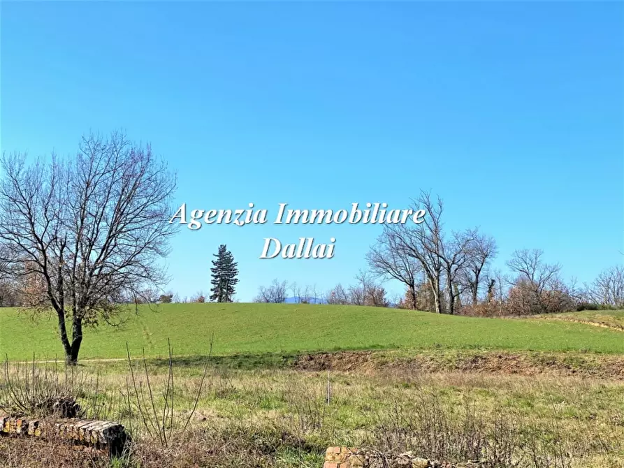 Immagine 5 di Rustico / casale in vendita  a Scarperia E San Piero