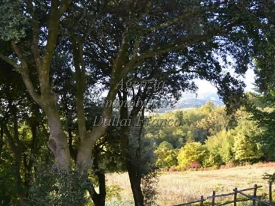 Immagine 3 di Rustico / casale in vendita  a Scarperia E San Piero