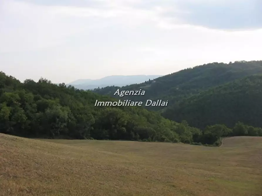 Immagine 9 di Rustico / casale in vendita  a Scarperia E San Piero