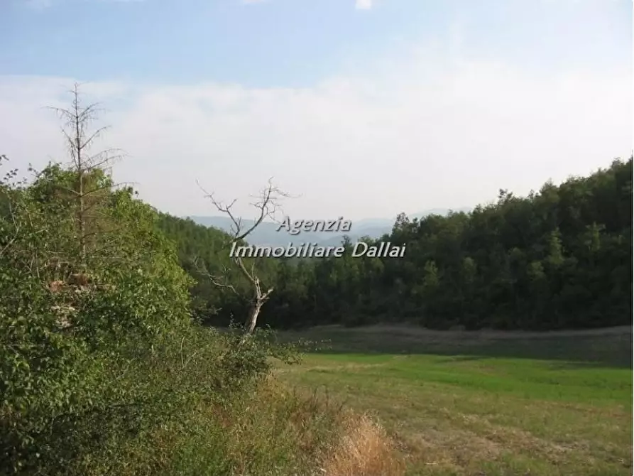 Immagine 10 di Rustico / casale in vendita  a Scarperia E San Piero