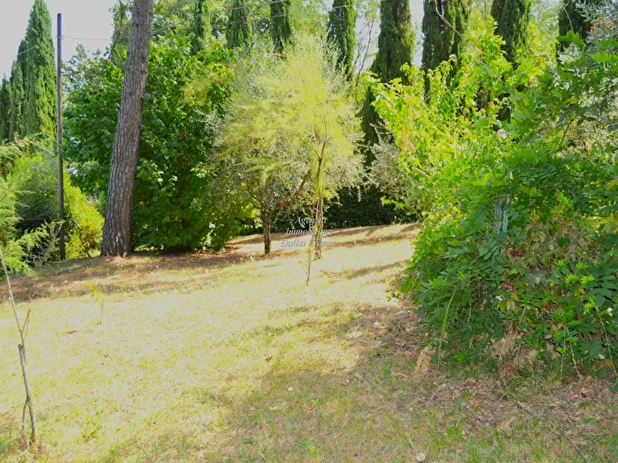 Immagine 7 di Casa colonica in vendita  a Borgo San Lorenzo