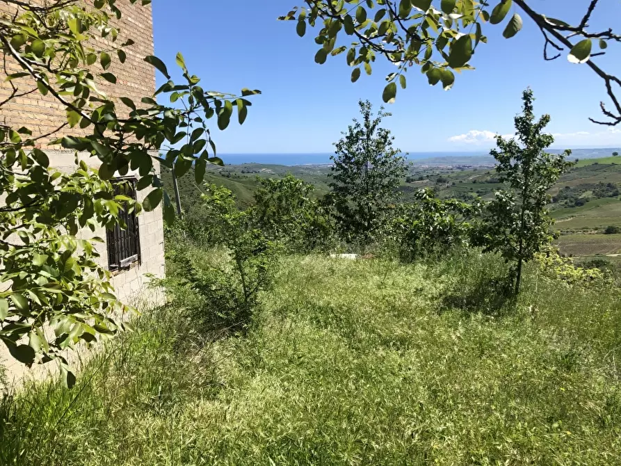 Immagine 2 di Rustico / casale in vendita  in colle mincuccio a Cupello