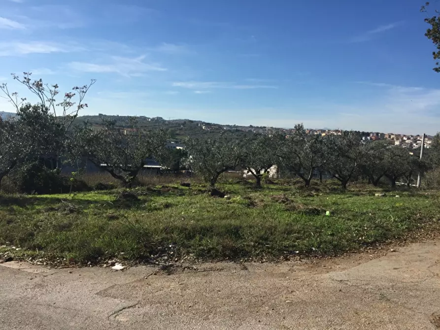 Immagine 5 di Attività artigianale in vendita  in contrada lago a Cupello