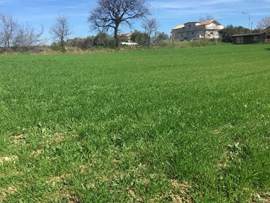 Immagine 2 di Terreno edificabile in vendita  in Contrada Ributtini a San Salvo