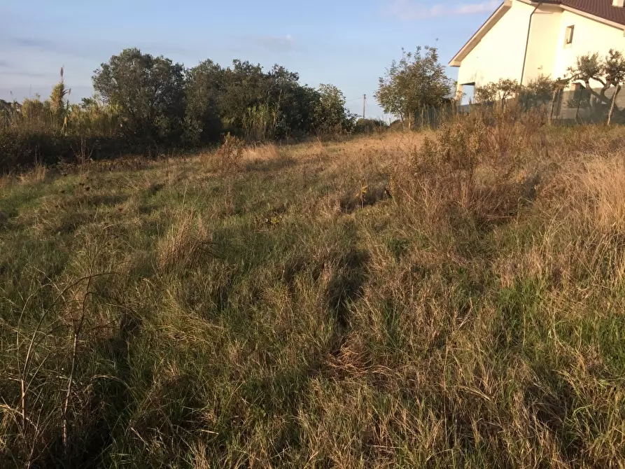 Immagine 4 di Terreno residenziale in vendita  in monteodorisio a Monteodorisio