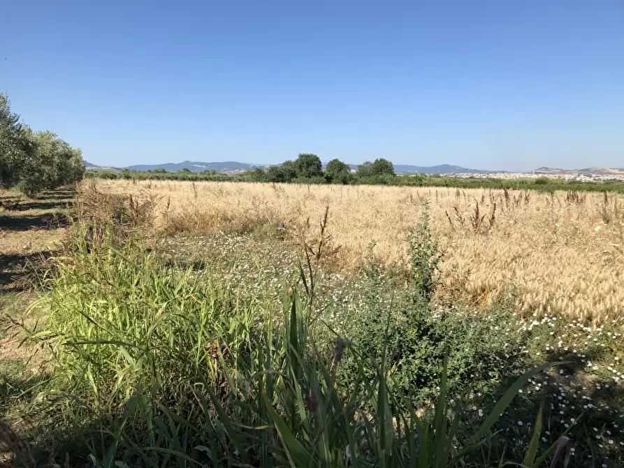 Immagine 2 di Terreno industriale in vendita  in CONTRADA PADULA a San Salvo