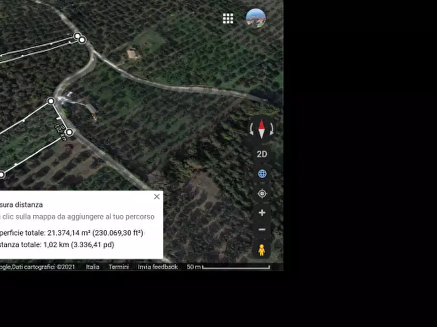 Immagine 3 di Terreno agricolo in vendita  in contrada Polercia a Vasto