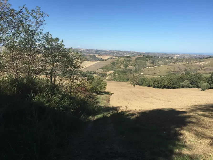 Immagine 3 di Terreno agricolo in vendita  a Cupello