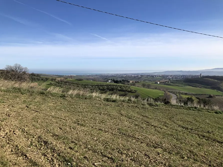 Immagine 2 di Terreno agricolo in vendita  in STRAMPALATO a Cupello