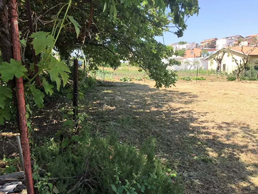 Immagine 3 di Terreno residenziale in vendita  in VIA ISTONIA a Cupello