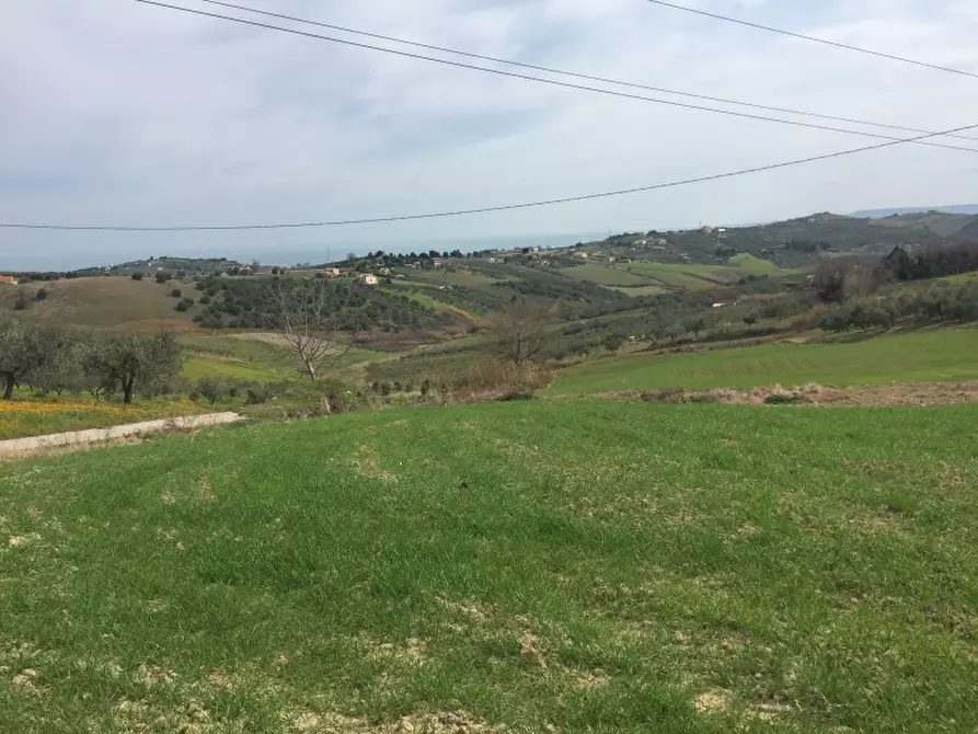 Immagine 2 di Terreno agricolo in vendita  in CONTRADA POLERCIA a Vasto