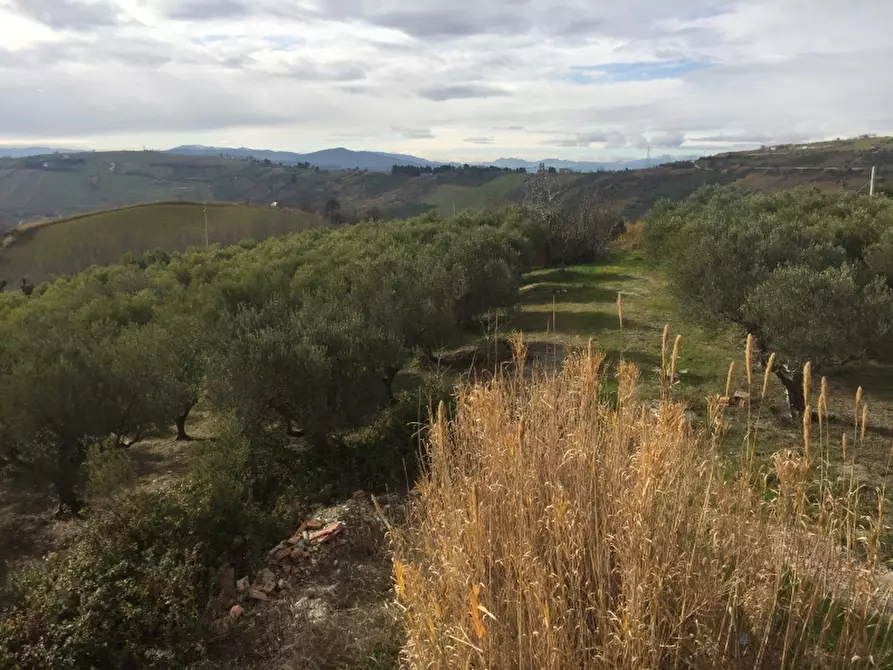 Immagine 12 di Villa in vendita  in colle pizzuto a Cupello