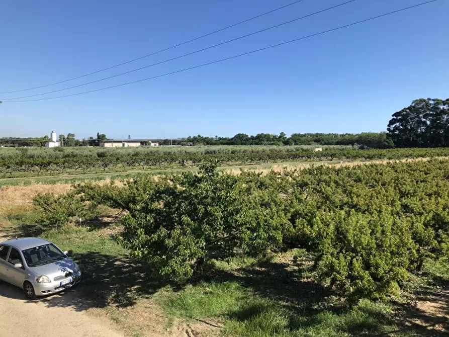 Immagine 12 di Terreno industriale in vendita  in CONTRADA PADULA a San Salvo