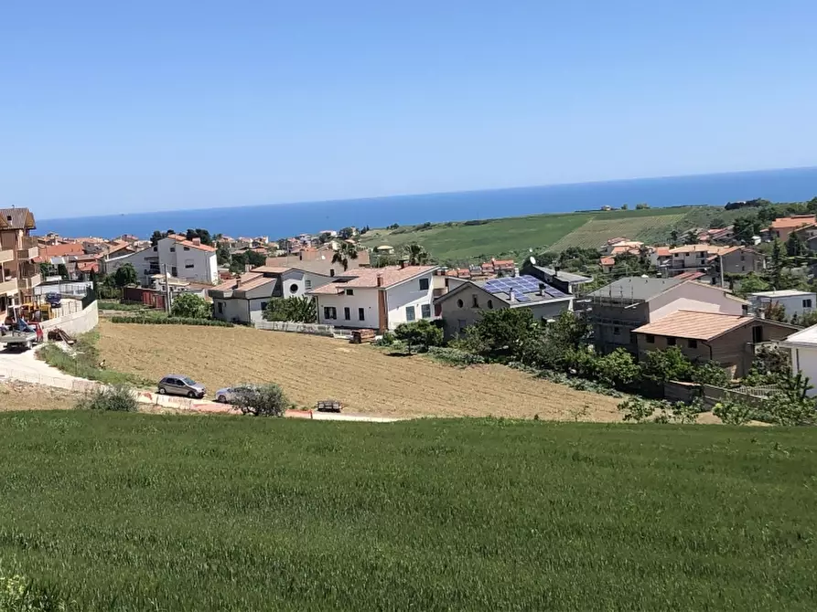 Immagine 12 di Terreno agricolo in vendita  in contrada strampalato a Cupello