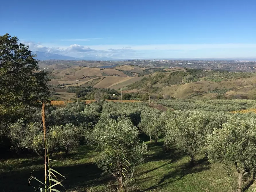 Immagine 12 di Terreno agricolo in vendita  a Cupello