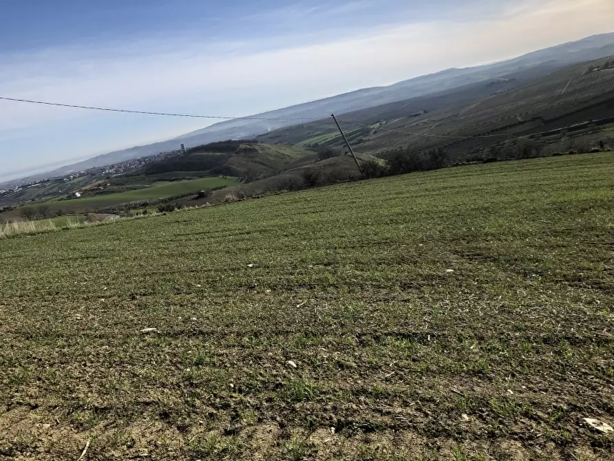 Immagine 9 di Terreno agricolo in vendita  in STRAMPALATO a Cupello