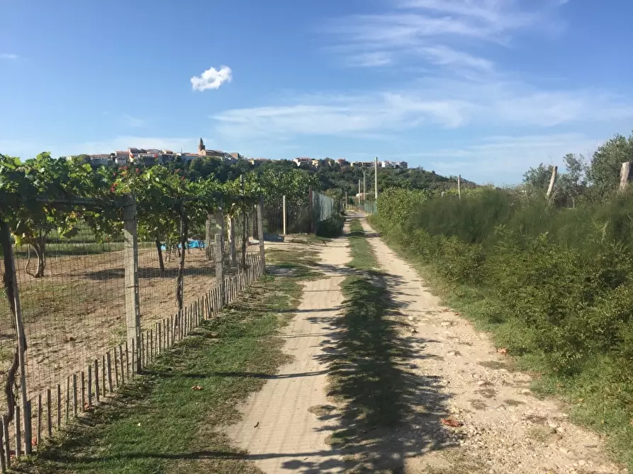 Immagine 15 di Terreno edificabile in vendita  in CAMPOMARINO LIDO a Campomarino