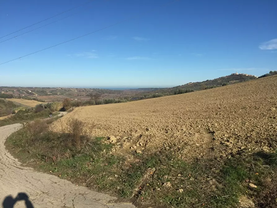 Immagine 14 di Azienda agricola in vendita  in CONTRADA SCOSSE a Cupello