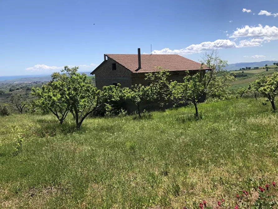 Immagine 12 di Rustico / casale in vendita  in colle mincuccio a Cupello