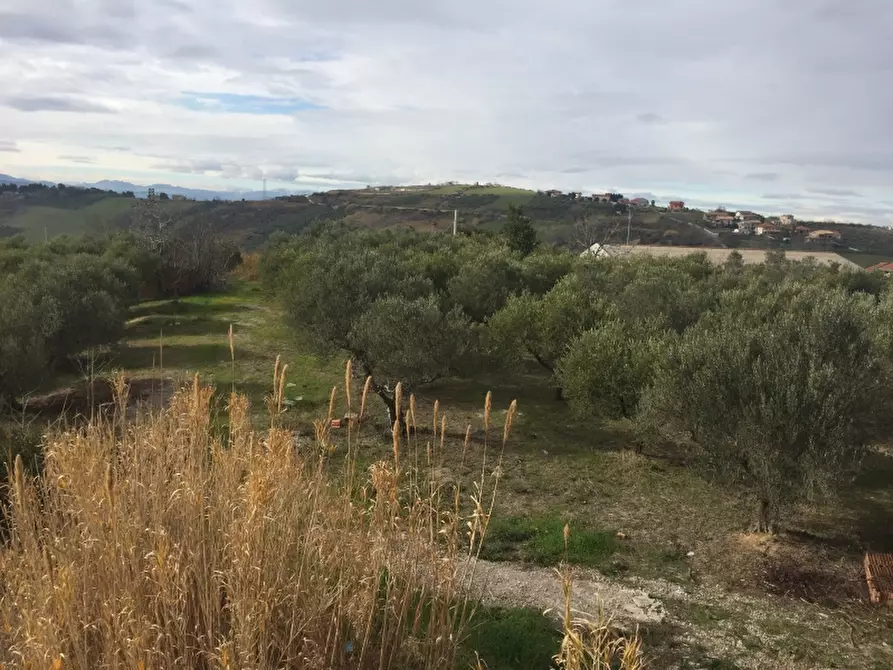 Immagine 13 di Villa in vendita  in colle pizzuto a Cupello