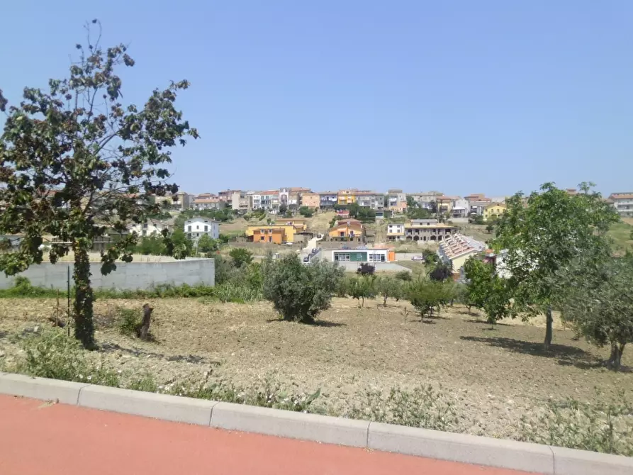 Immagine 15 di Attività artigianale in vendita  in contrada lago a Cupello