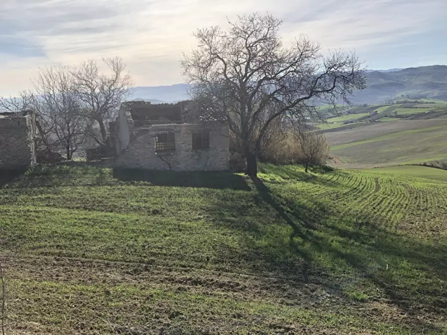 Immagine 10 di Terreno agricolo in vendita  in STRAMPALATO a Cupello
