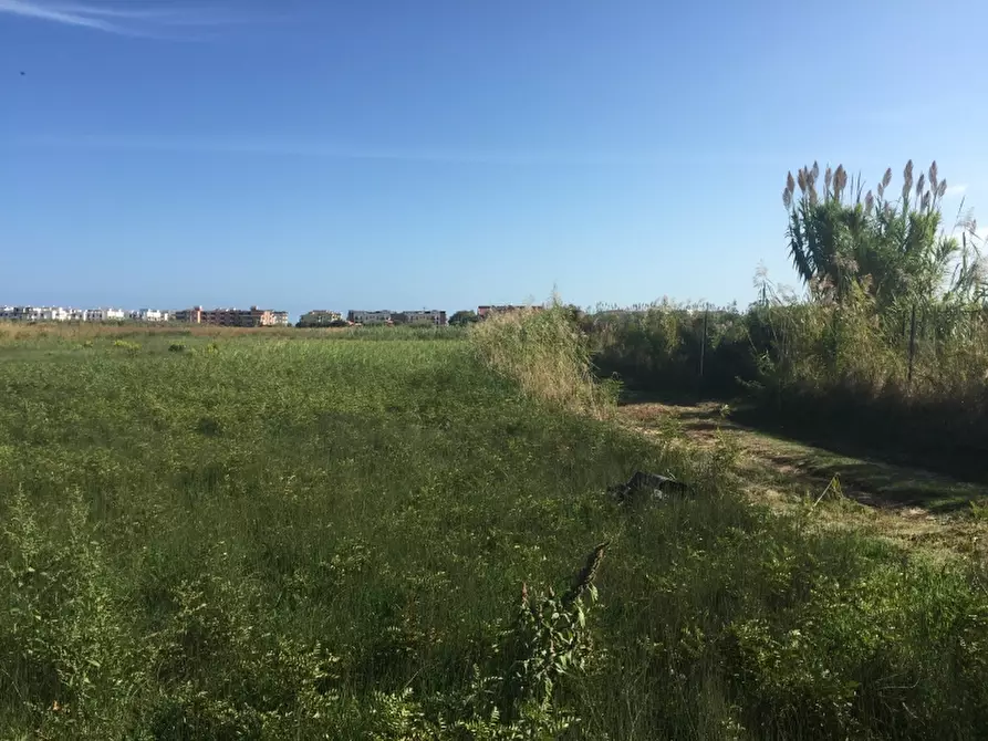 Immagine 16 di Terreno edificabile in vendita  in CAMPOMARINO LIDO a Campomarino