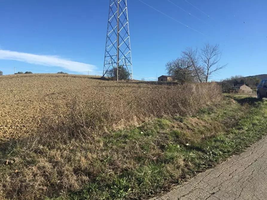 Immagine 15 di Azienda agricola in vendita  in CONTRADA SCOSSE a Cupello