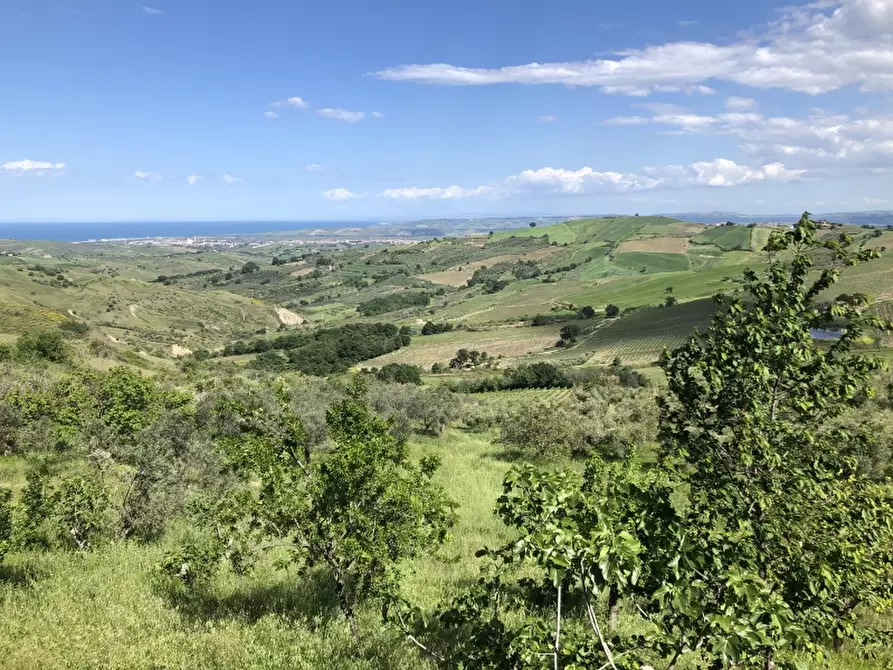 Immagine 13 di Rustico / casale in vendita  in colle mincuccio a Cupello