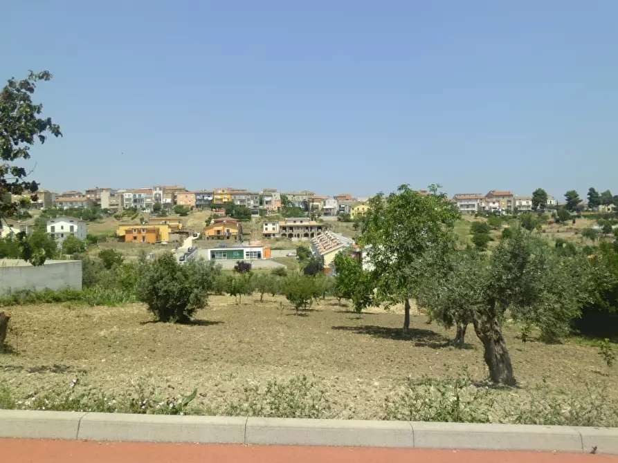 Immagine 14 di Terreno agricolo in vendita  a Cupello