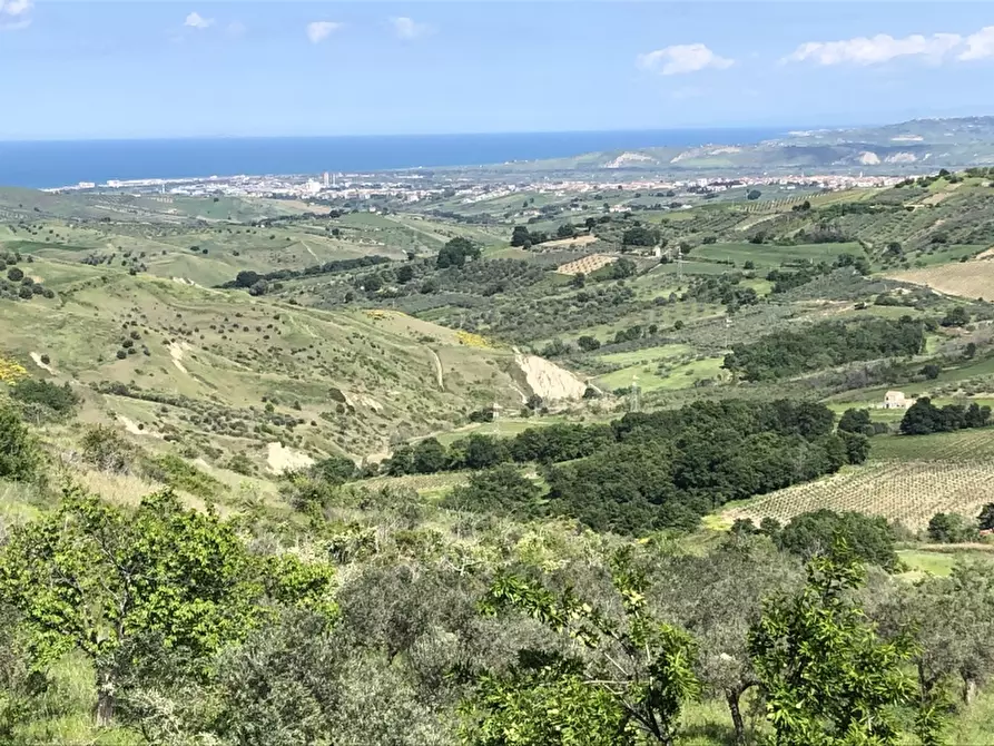 Immagine 14 di Rustico / casale in vendita  in colle mincuccio a Cupello