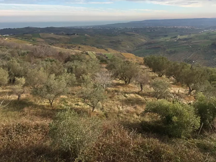 Immagine 15 di Villa in vendita  in colle pizzuto a Cupello