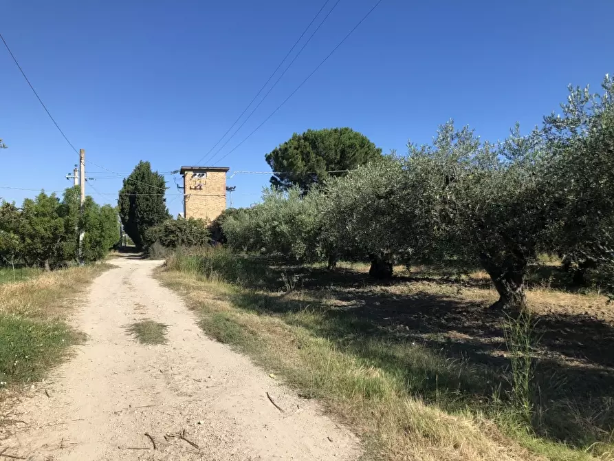 Immagine 16 di Terreno industriale in vendita  in CONTRADA PADULA a San Salvo