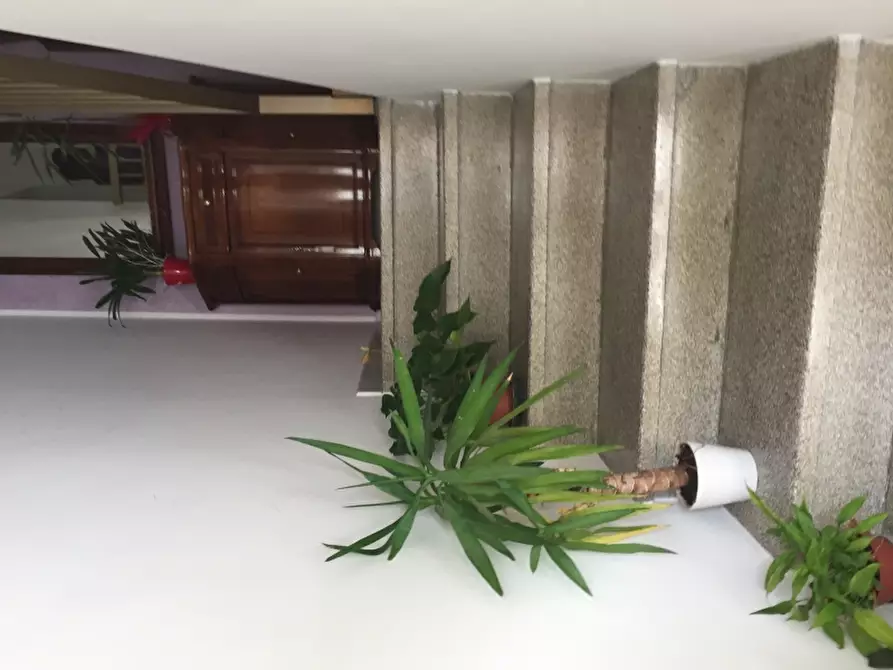 Immagine 16 di Porzione di casa in vendita  in SANT ANTONIO ABATE a Vasto